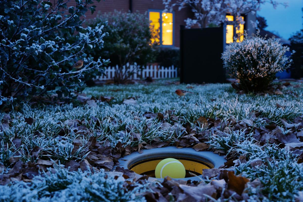 This tiny garden trick saves birds and hedgehogs from freezing (you’ll be surprised)